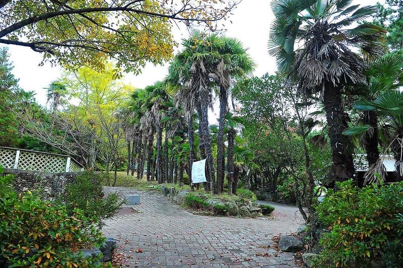 문화관광농원청소년야영장 시설 사진 4