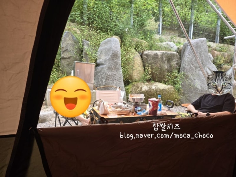 44 산청지리산반달캠핑장 - 산청약초축제(동의보감촌)...