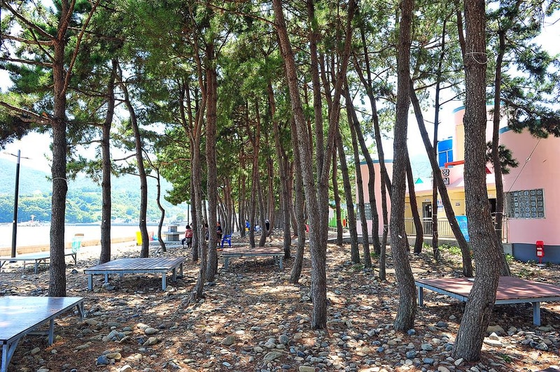 월포해수욕장야영장 시설 사진 4