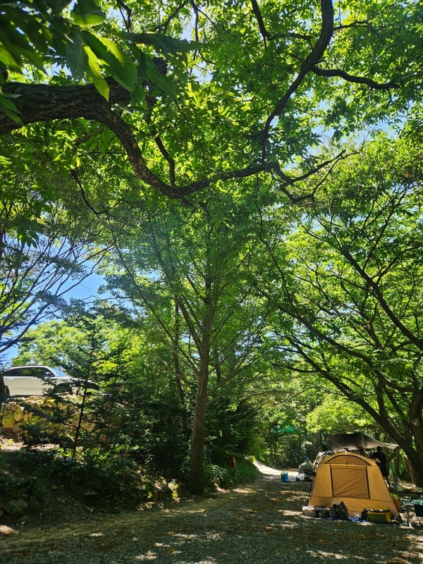 가평 자우림 캠핑장(07.11.)