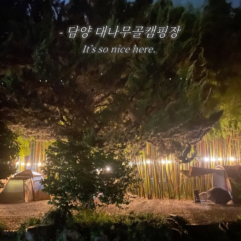 광주 근교 캠핑장 전남 담양 대나무골 캠핑장 사이트 추천 솔직...