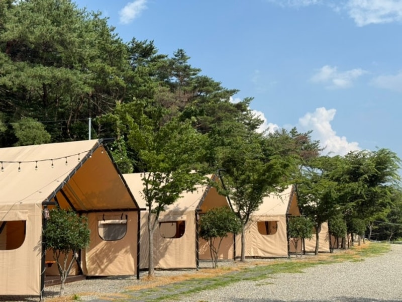 경북 칠곡) 대대대대대박이야 '대성 글램핑'