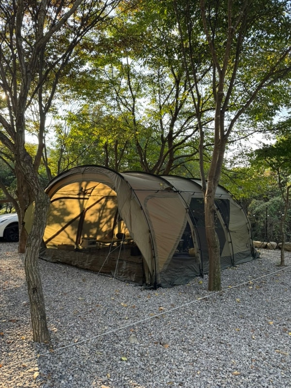 <청주 근교 캠핑장/ 괴산 캠핑장> 괴산 타닥타닥캠핑장 이용...