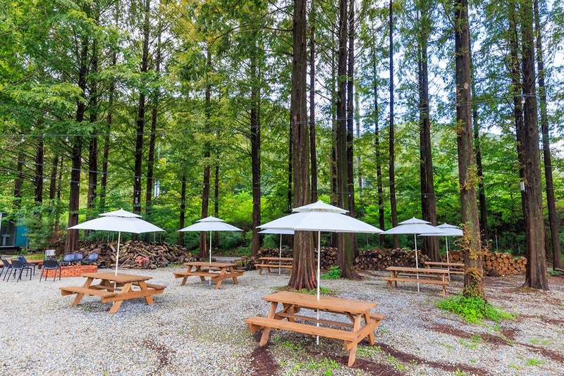 포레스트 캠핑장 시설 사진 5