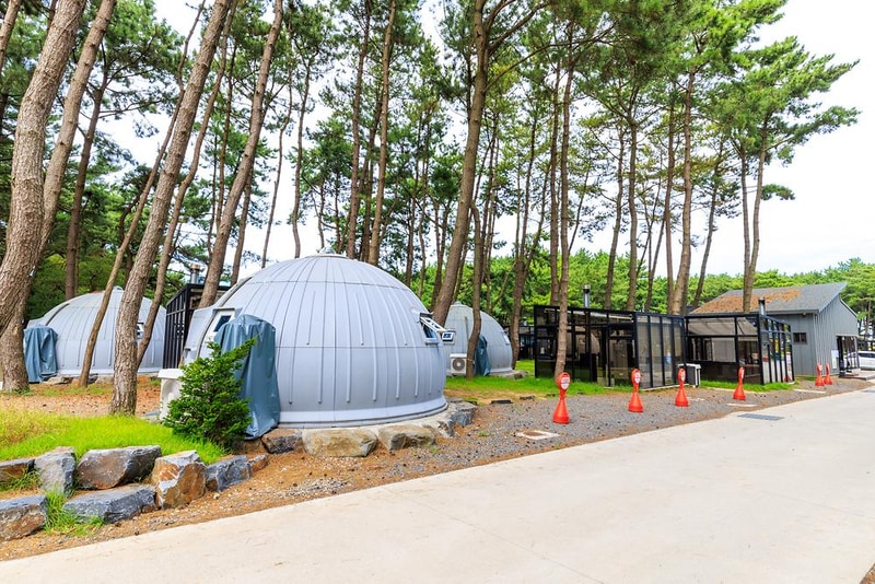 서천 장항글램핑장 시설 사진 11