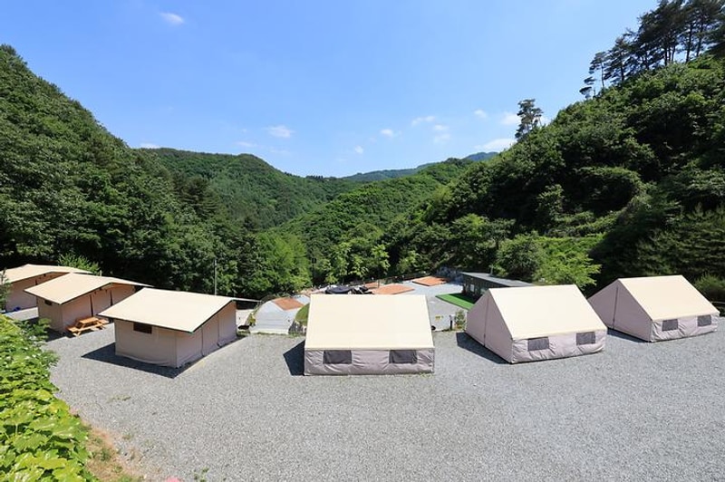 비발디캠핑파크 미루나무점 대표 사진