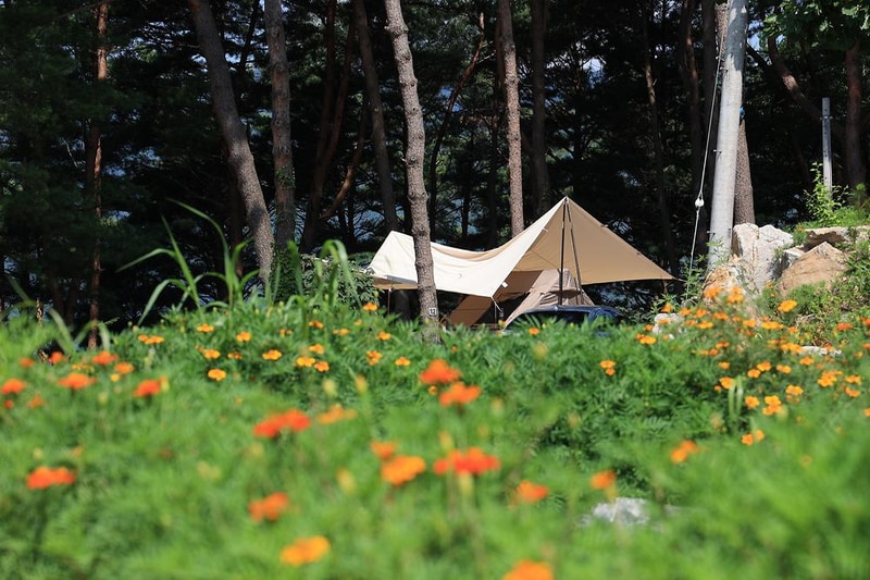 구름품은 캠핑장 시설 사진 20