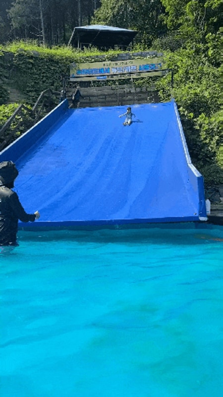 [홍천]예담숲 캠핑장_키즈캠핑장