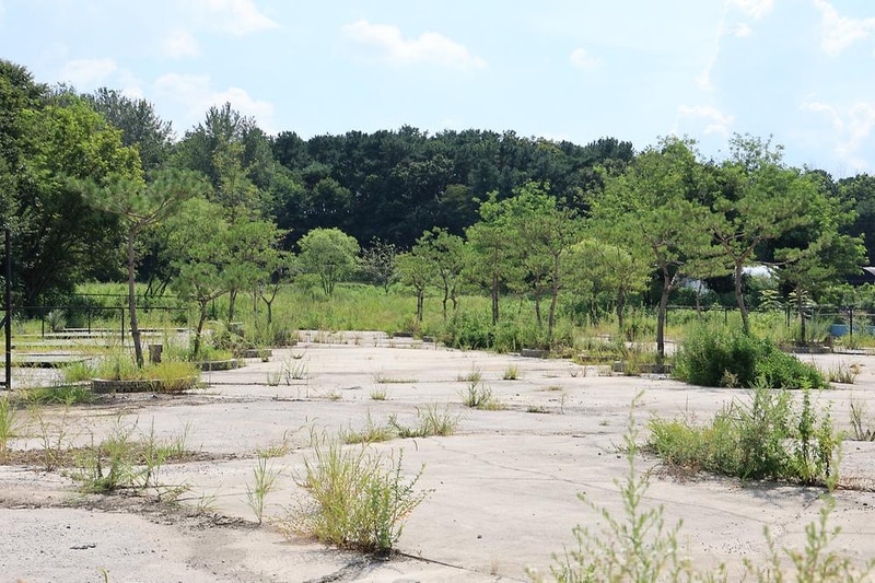 드르니캠핑장 시설 사진 2