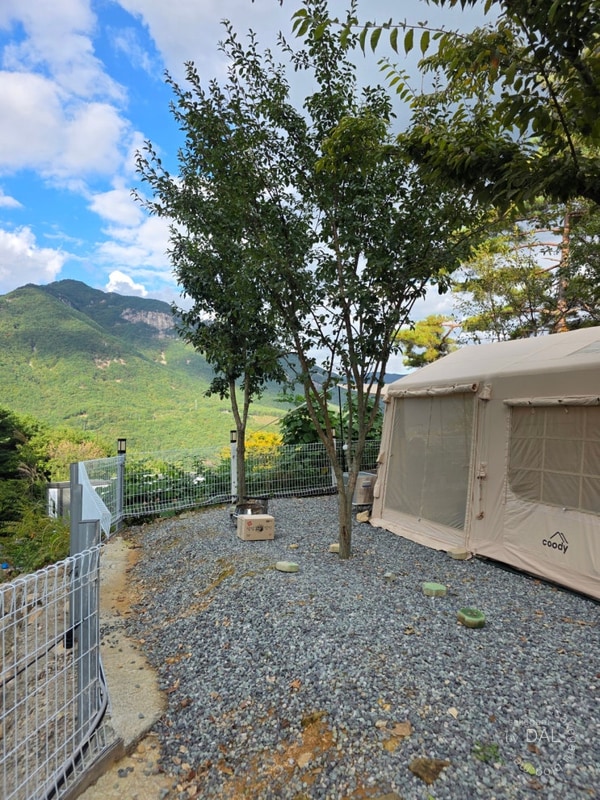 [野:12] 밀양캠프밸리관광농원 캠핑장 ② | 숯불구이 - 이마트...