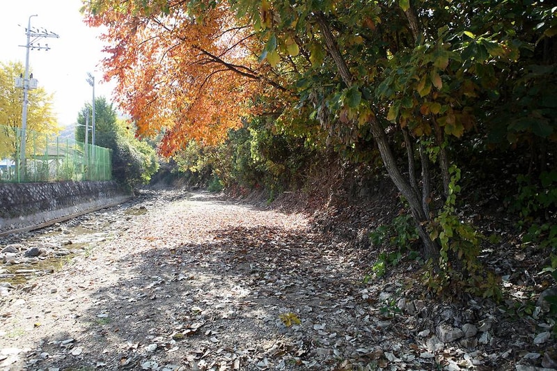 하늘연캠핑장 시설 사진 3