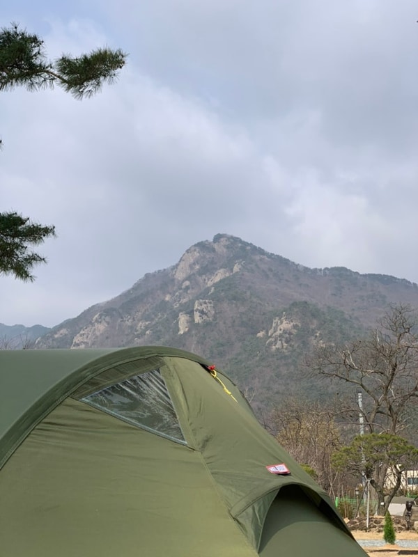 공주 동학사힐링캠핑장(24.03.15) I C6 잔디밭 사이트 I 대전...