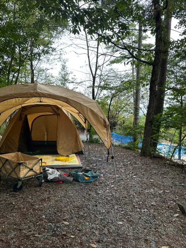 아이랑 가기 좋은 전남 캠핑장/곡성 아리솔 할로윈 캠핑...