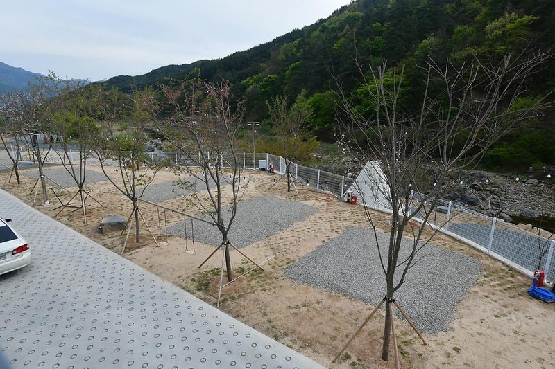 내를 건너서 숲으로 캠핑장 시설 사진 11