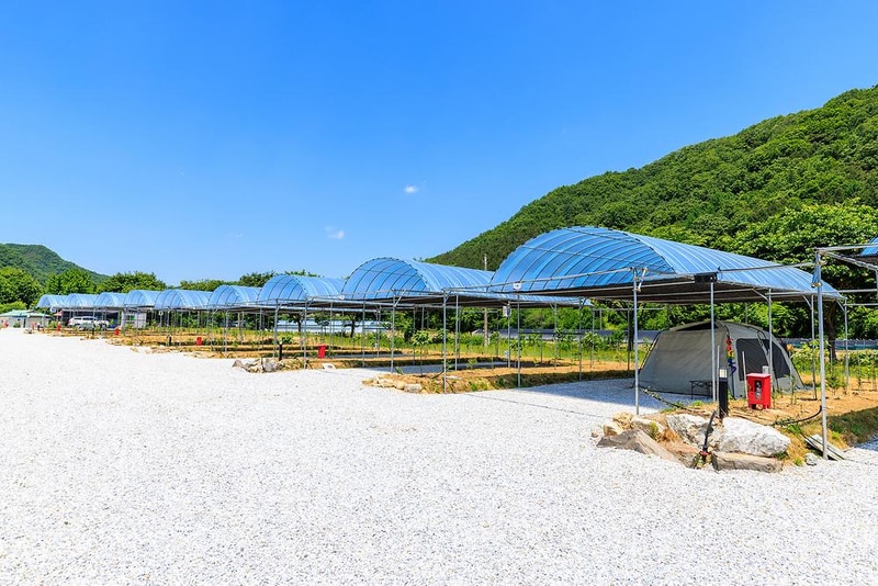 진악산오토캠핑장 시설 사진 10