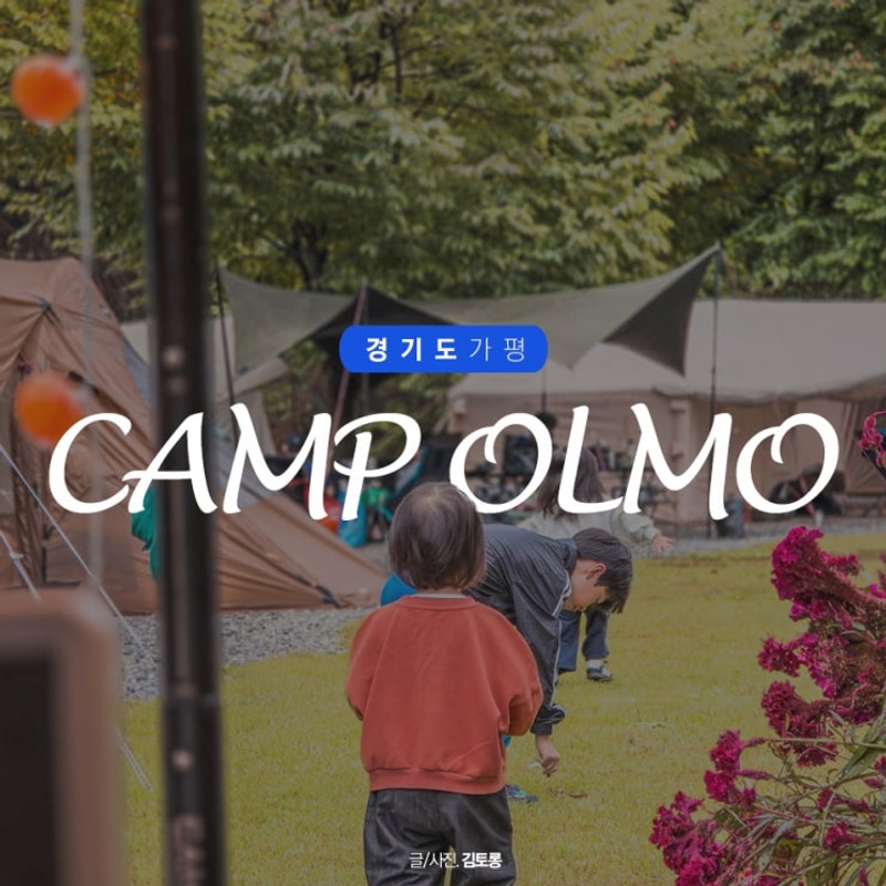 시설 깨끗한 가평 캠핑장 캠프올모 5번 6번 두가족 사이트 후기