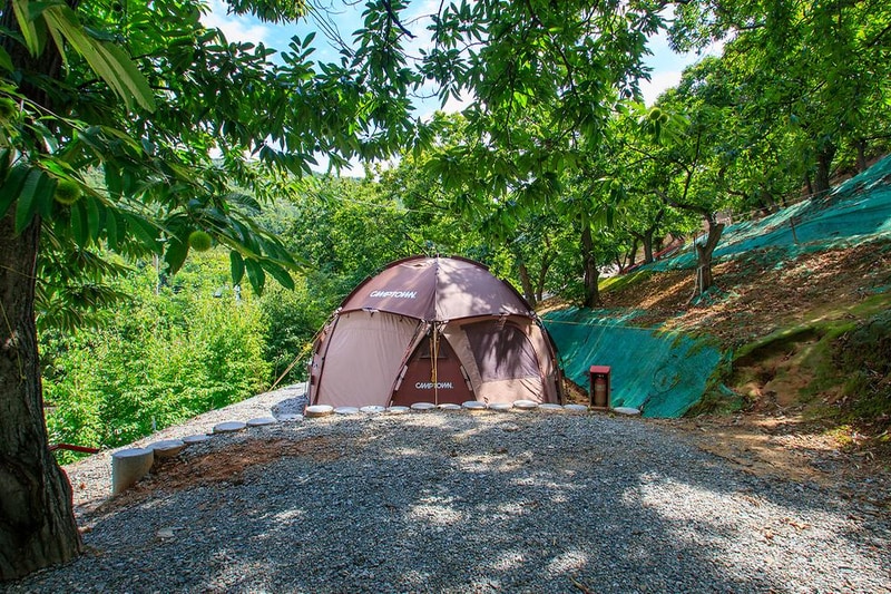 천안밤나무골 가족캠핑농원 시설 사진 14