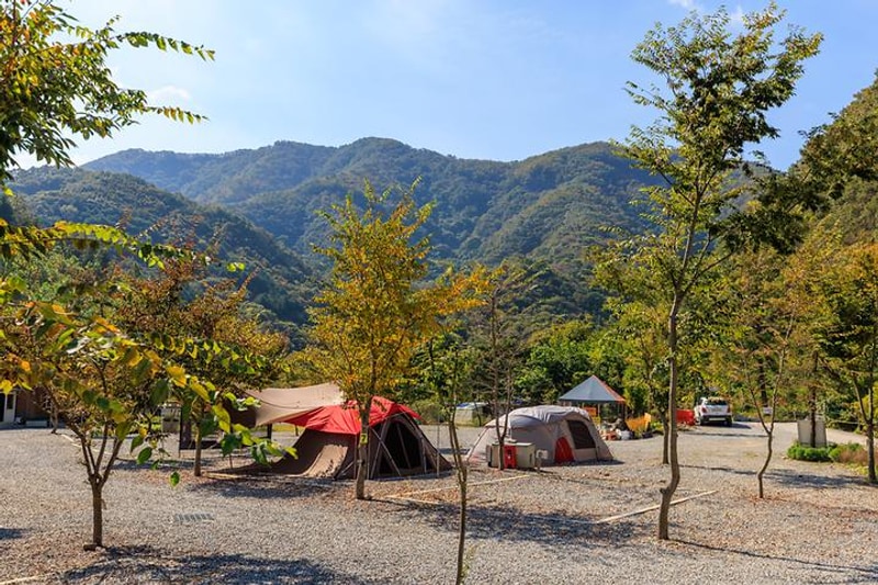 육백고지 캠핑장 대표 사진
