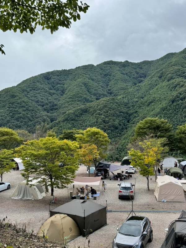 산청 지리산 당근 오토캠핑장(구. 대경 오토캠핑장)갔다가...