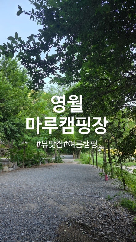 여름캠핑은 역시 계곡! 영월 마루펜션캠핑장 1박2일 힐링 후기