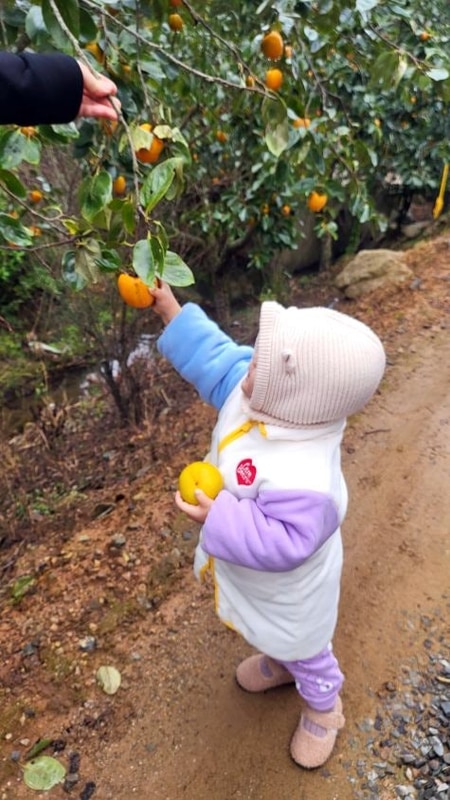 아이와 함께한 두 번째 생일 태안캠핑장 올레유에서의 행복한...