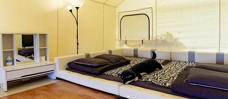 코뿔소글램핑 시설 사진 10