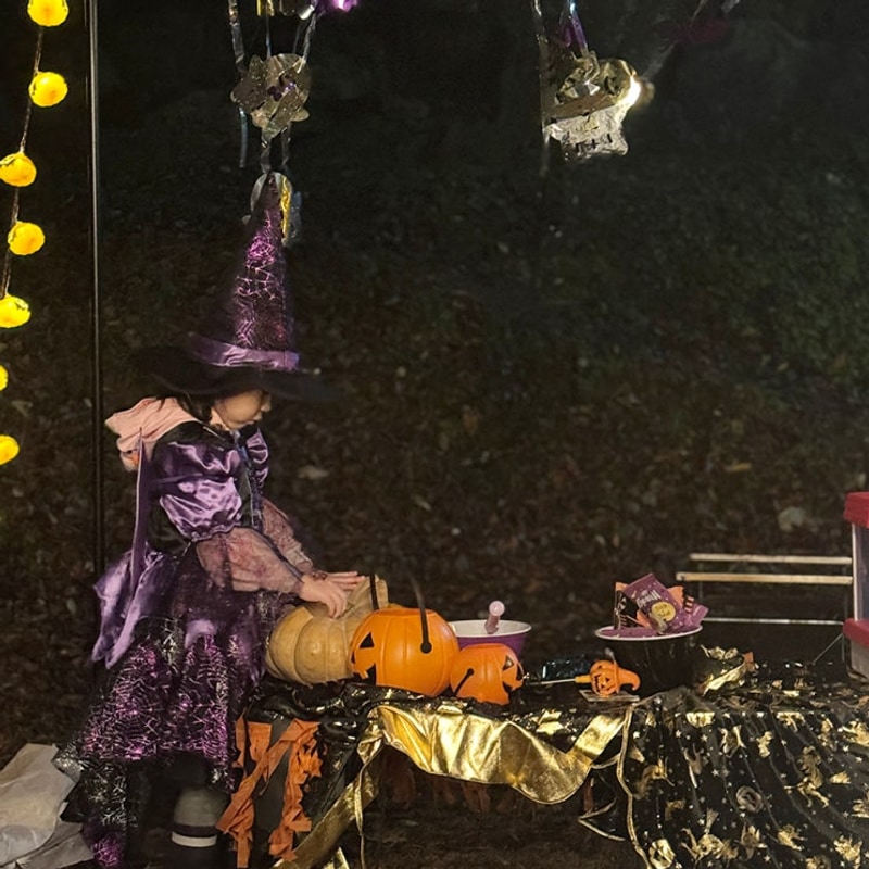 포천 할로윈 캠핑장으로 유명한 닥박골휴양림 D존 후기