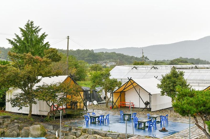 수림 휴원 대표 사진