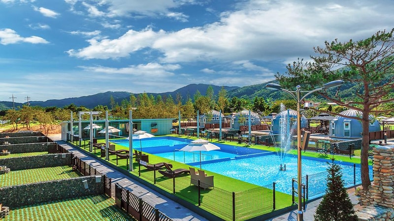 아워 포레스트 시설 사진 12