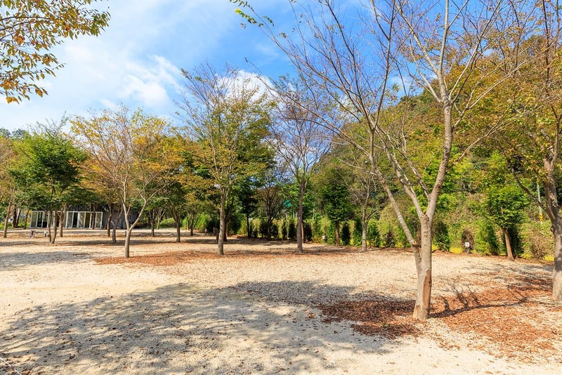 금산 자연 오토캠핑장 시설 사진 20