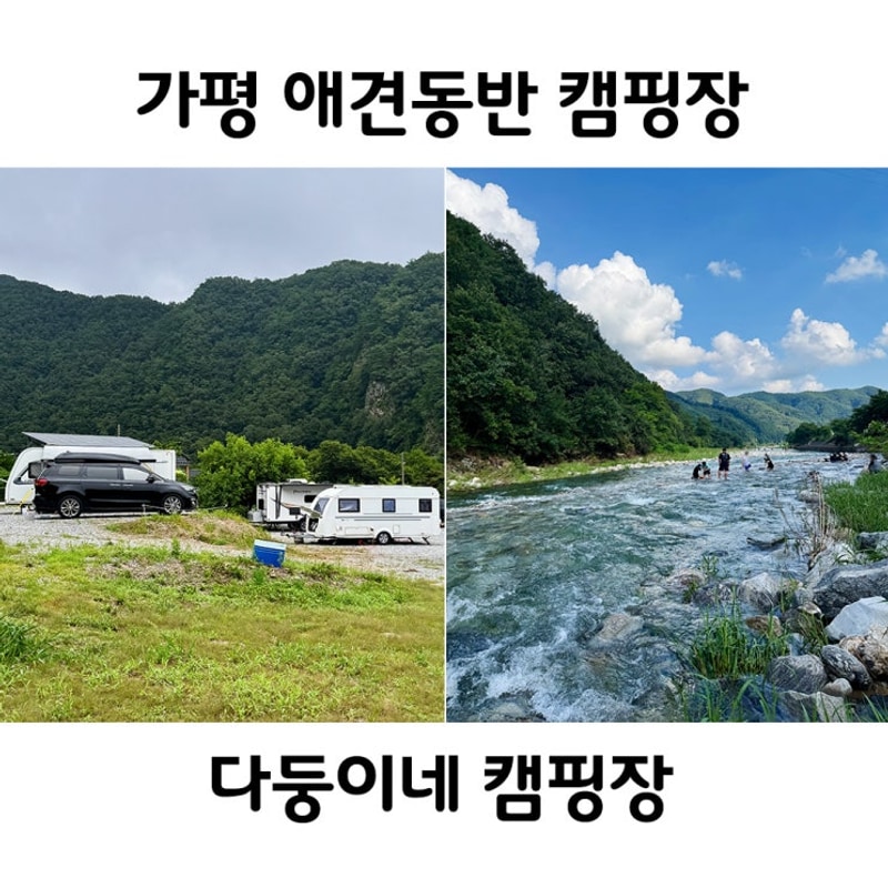가평 계곡있는 애견동반 캠핑장 다둥이네캠핑장 여름 물놀이캠