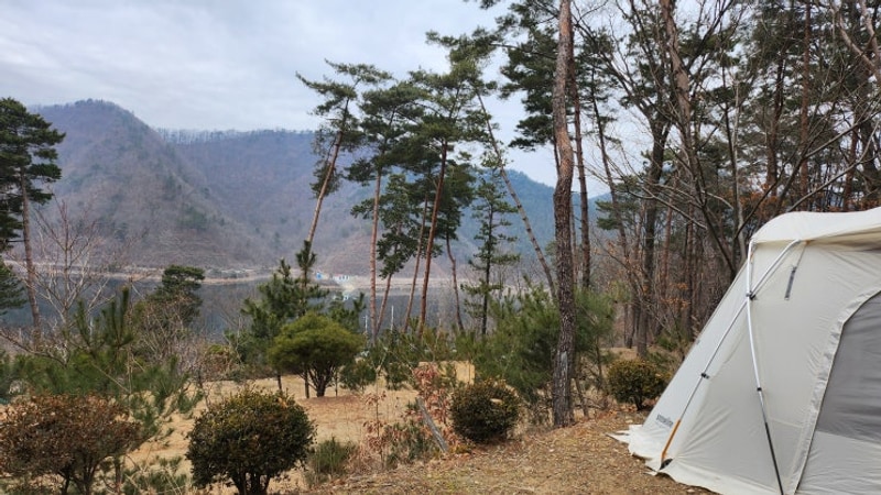 옥천 마로니에숲 캠핑장 : 대전 근교 옥천 장찬저수지 뷰...