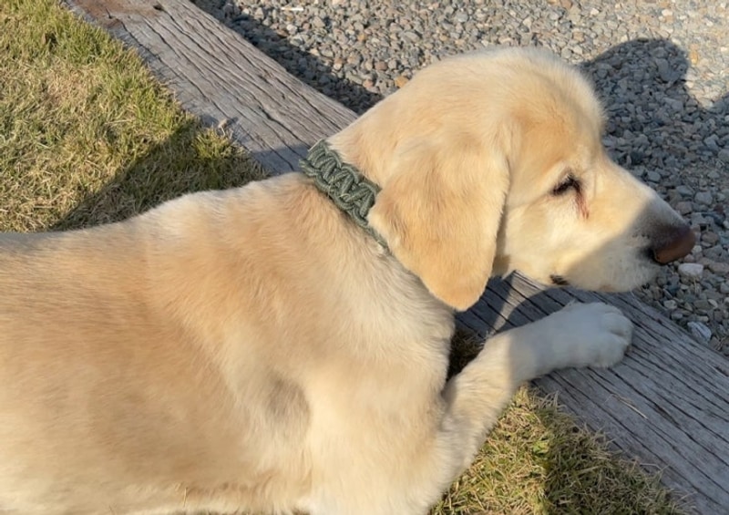 [산청] 여행 Day3 눈코 뜰 새 없이 바빴던 나홀로 글램핑...