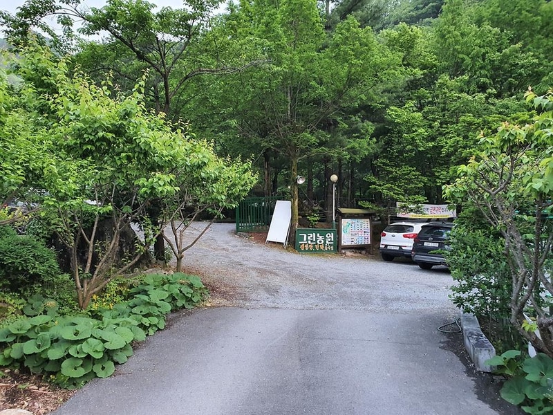 단양 천동계곡 캠핑장 그린농원 시설 사진 20