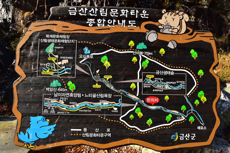 금산산림문화타운 배치도 1