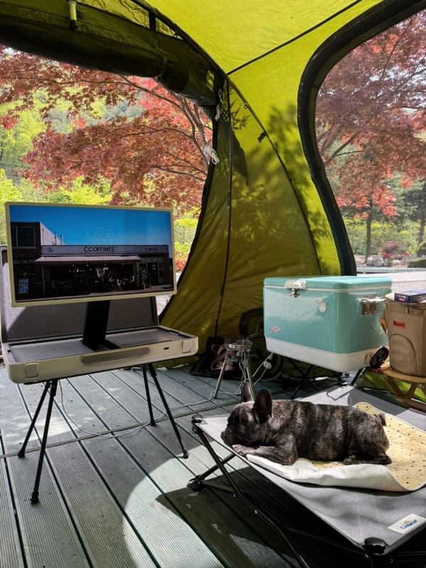 2025년 5월 8일 목요일 점심, 오색허브농원캠핑 왜 칭찬일색?