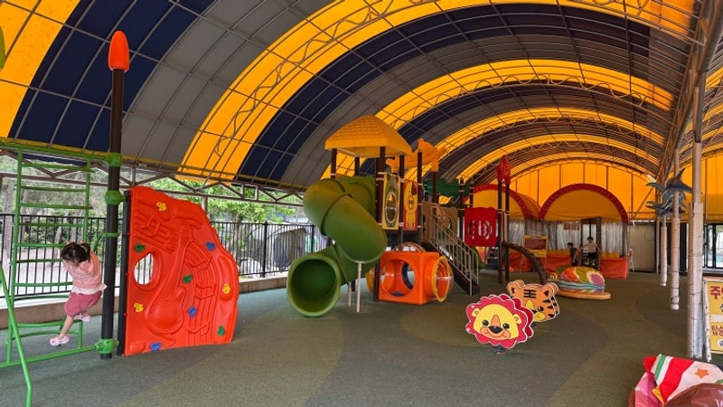 5세 아이랑 캠핑 기록 : 태안 어은돌송림캠핑장 키즈캠핑장