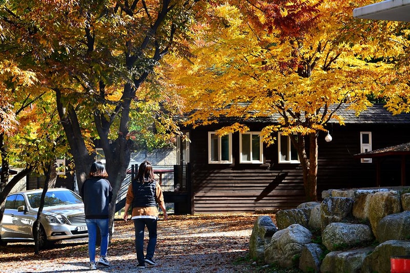 산장관광지 시설 사진 2