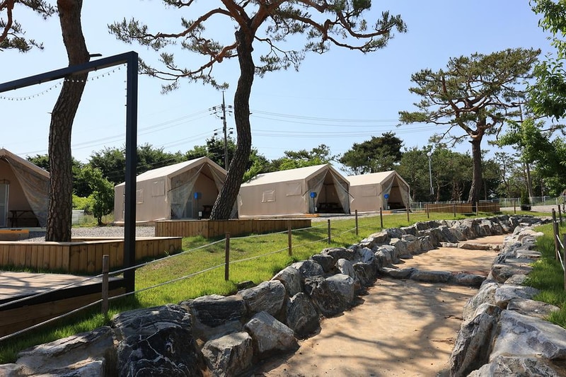 안석관광농원 시설 사진 10