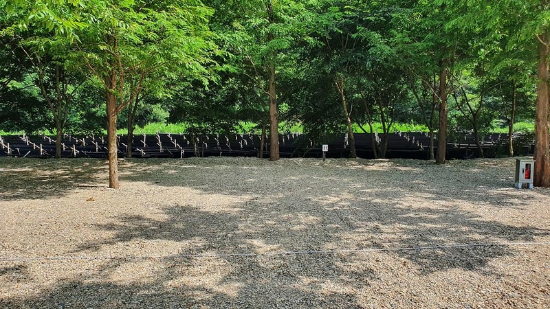 금산 자연 오토캠핑장 시설 사진 41