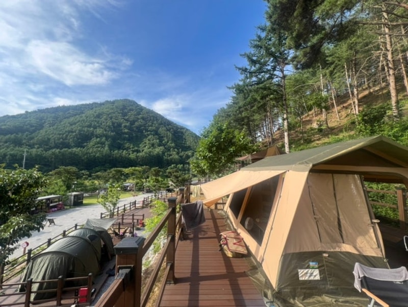 평창 국민여가캠핑장..(2025.7.12./1박)