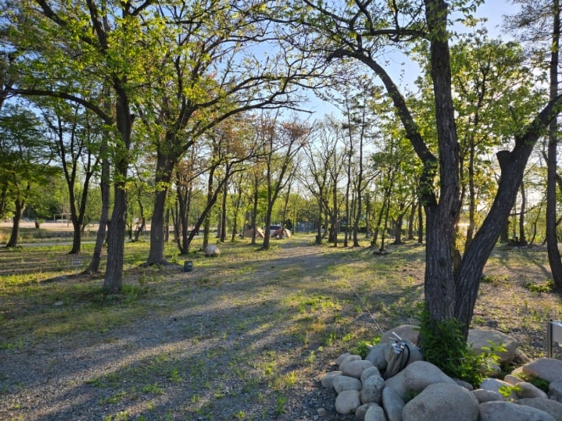 강원 속초 설악산 인근 참새둥지 야영장 캠핑장 양양 고속도로