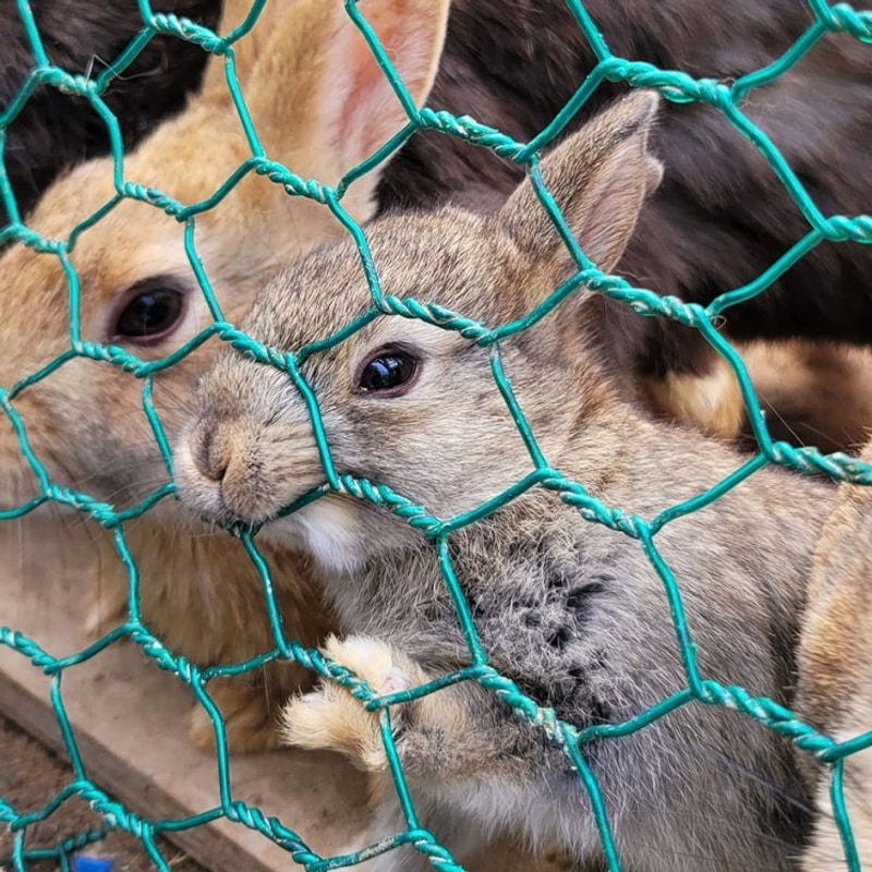 포천 놀거리, 맛집 추천! 산정루 산정호수 가족글램핑장