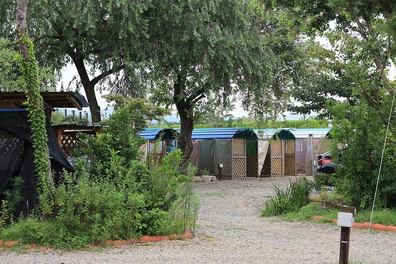 용천수캠핑장 시설 사진 11