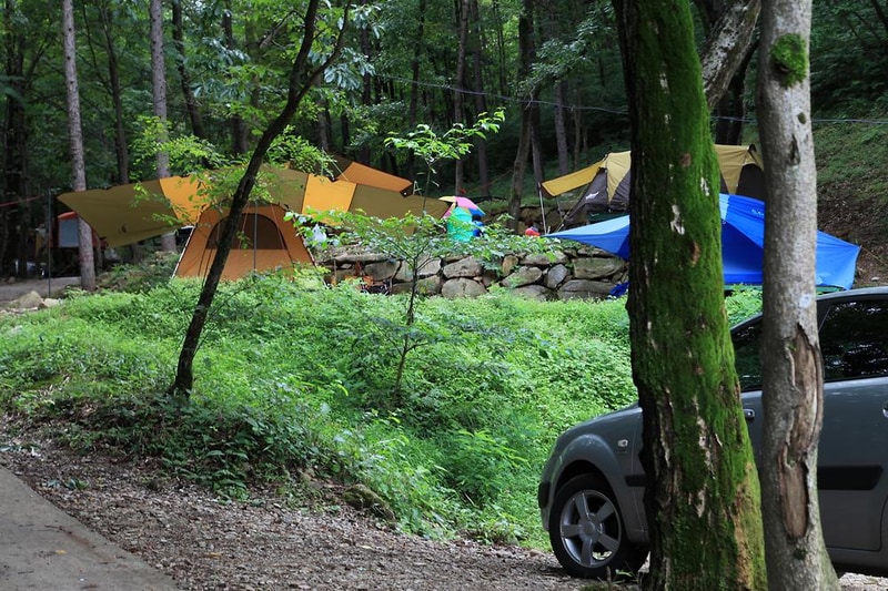 와룡자연휴양림 자동차야영장 시설 사진 9