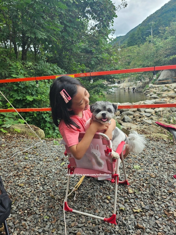 광양 숲내음에 머물다 2박 3일 캠핑 이야기 A-1 사이트...