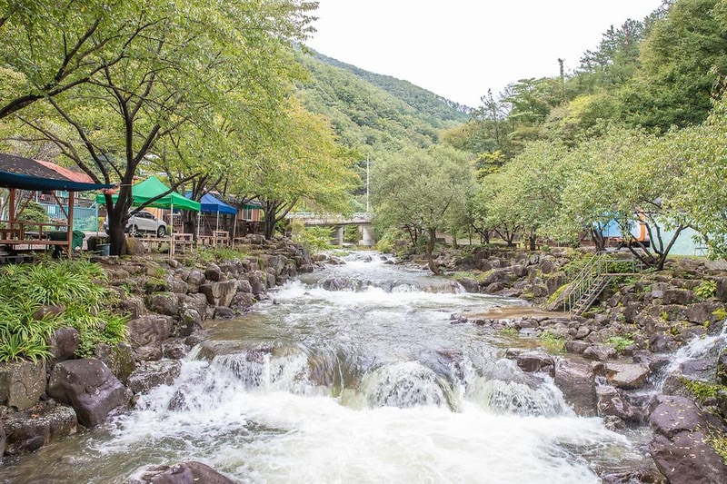 옥수골계곡펜션야영장 시설 사진 16