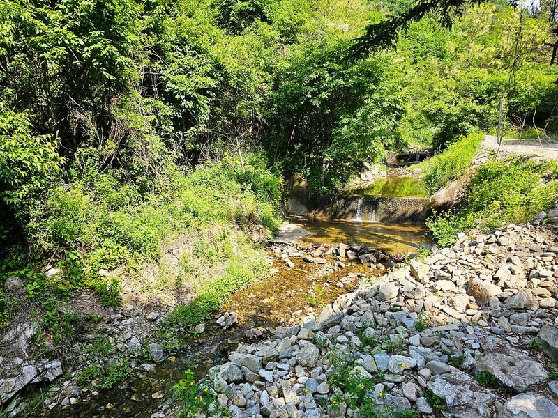 스테이네이처 시설 사진 4