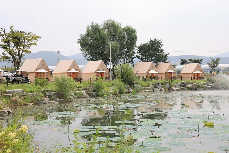 (주)캠핑야미 시설 사진 8