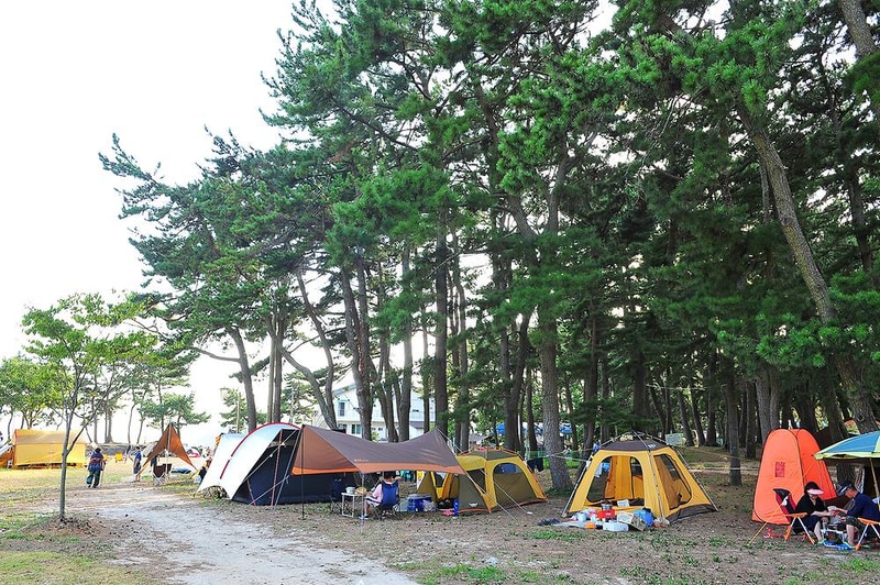 송정솔바람야영장 시설 사진 1